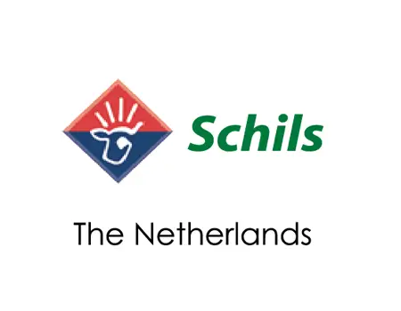 Schils
