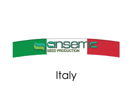 ansemc italy